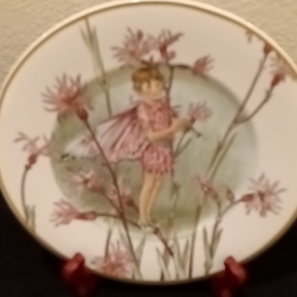 Plate Collector - Picture 3 of 4
